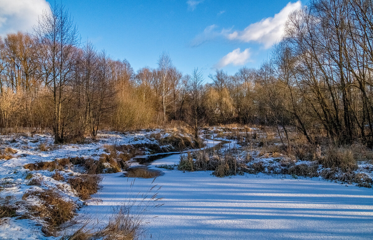Подмосковный декабрь 9 - Андрей Дворников