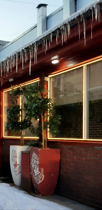 Зима 2025. Февраль - Наталья Герасимова