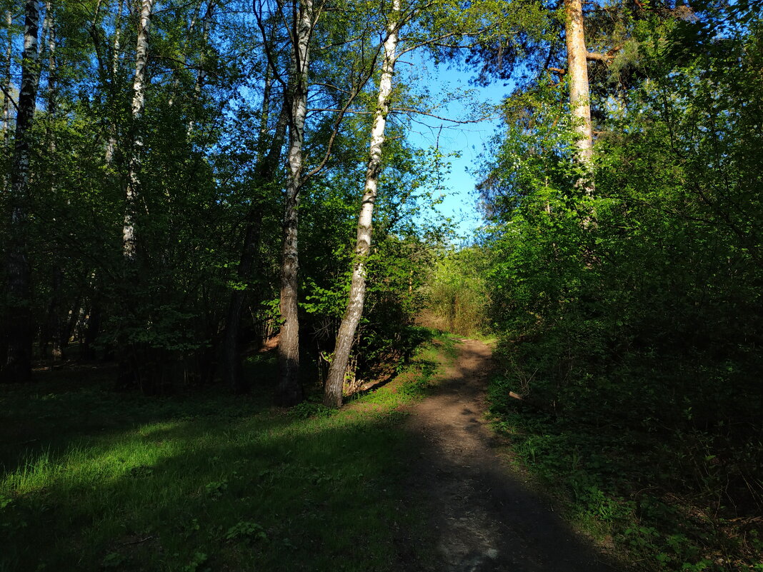 Мне всегда есть ЧТО вспомнить - Андрей Лукьянов