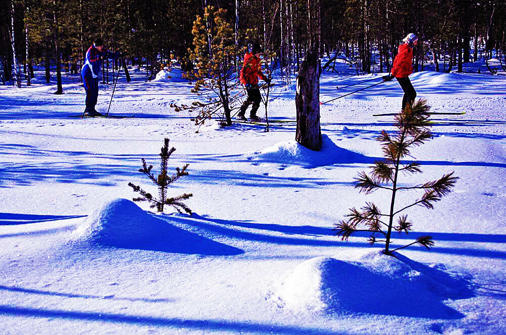 Январь..Юные на лыжне! - Владимир 