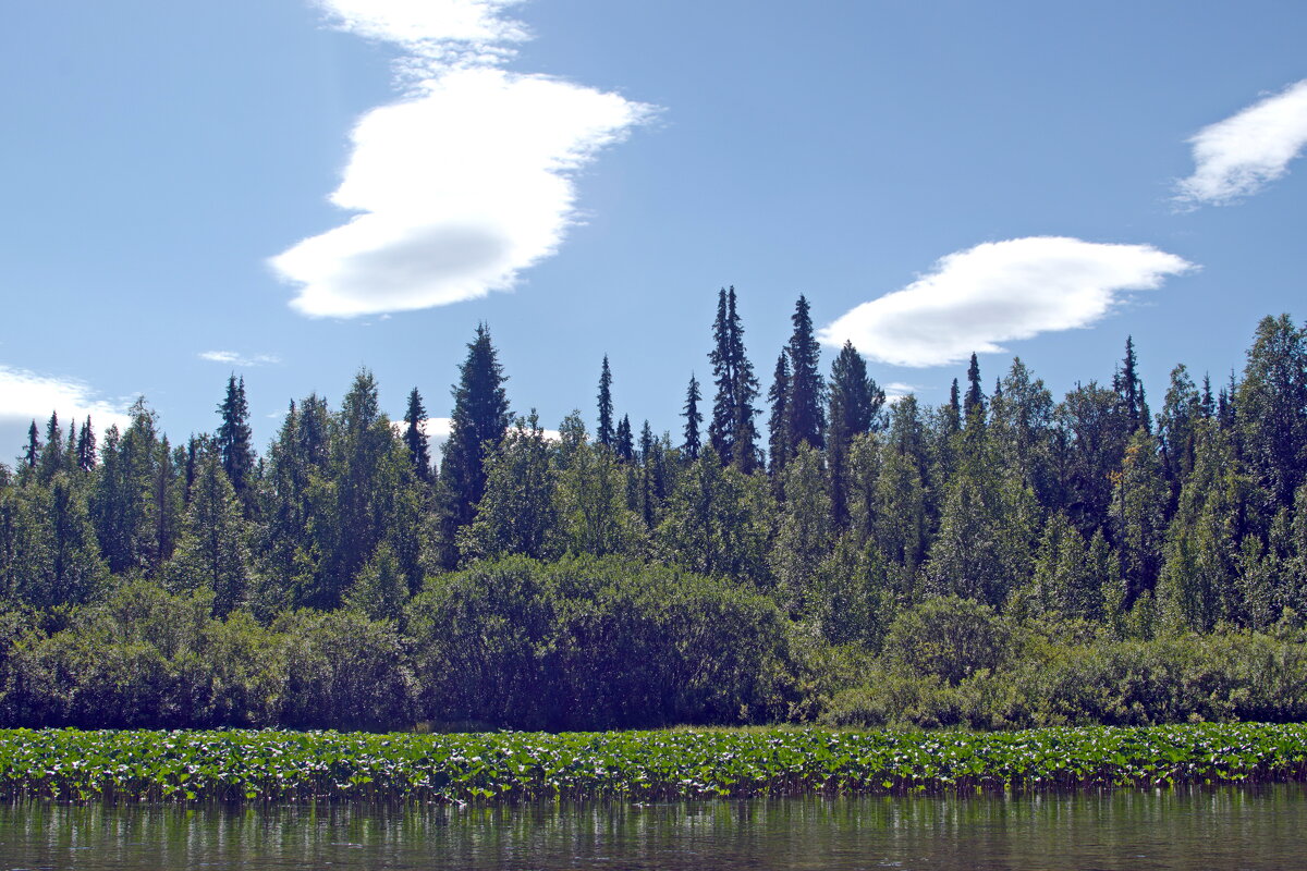 Берег. - ВикТор Быстров
