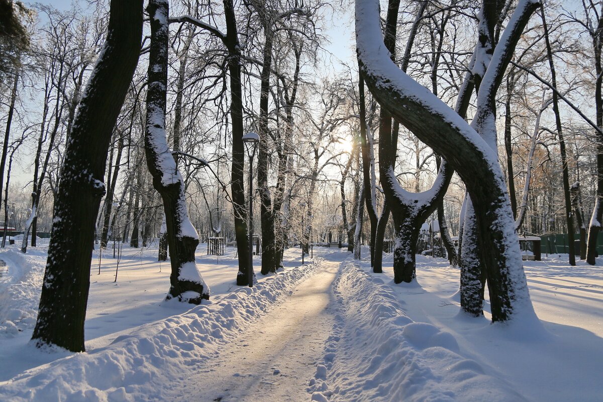 Аллея - ZNatasha - Аллея - ZNatasha -