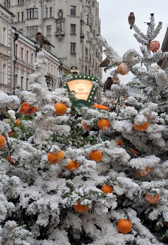 Апельсиновое настроение на Арбате - ИРЭН@ .