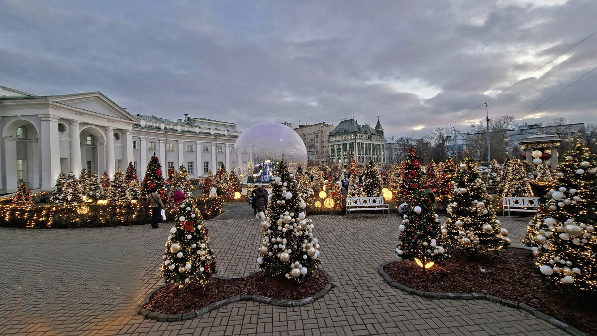 Садовое кольцо в сказочном лесу - ИРЭН@ .