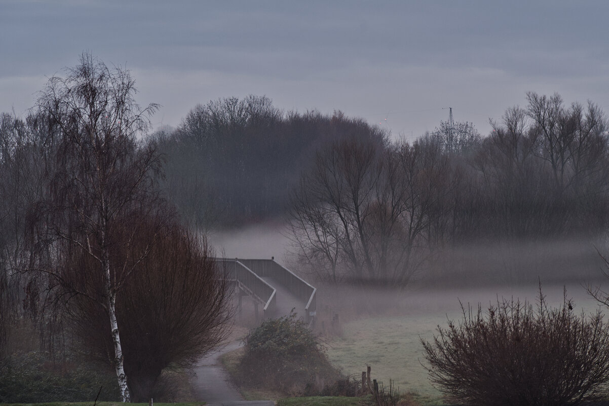 Туманное утро...20.12.2025 ... - Jakob Dick