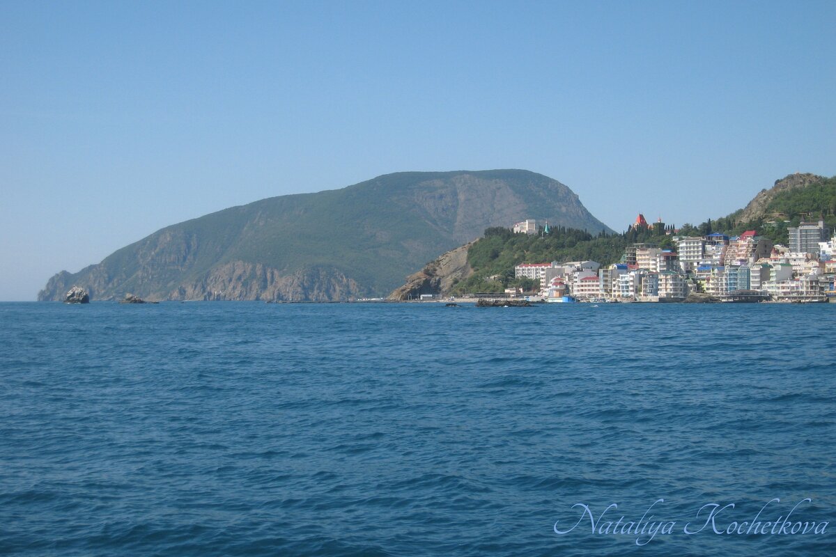 Природа Крыма - Amazing Cosmea