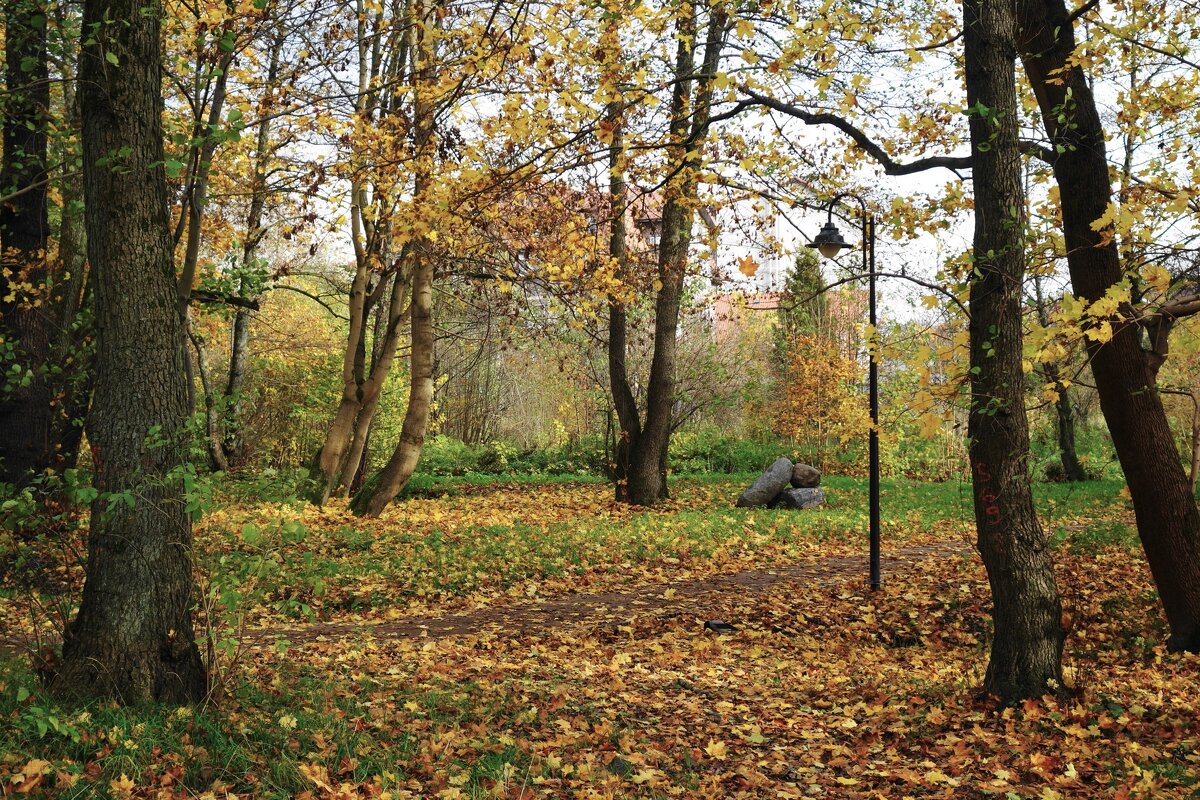 Ашманн парк, Калининград - Рита Симонова