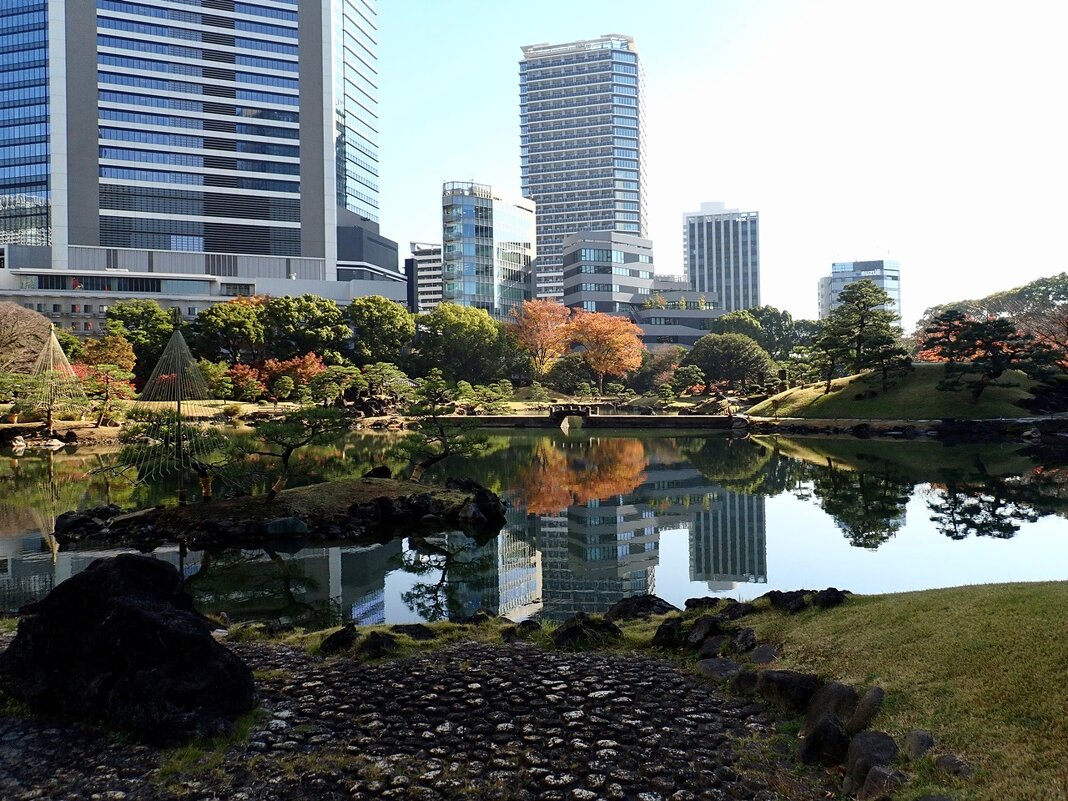 В саду осеннем - Civetta ***