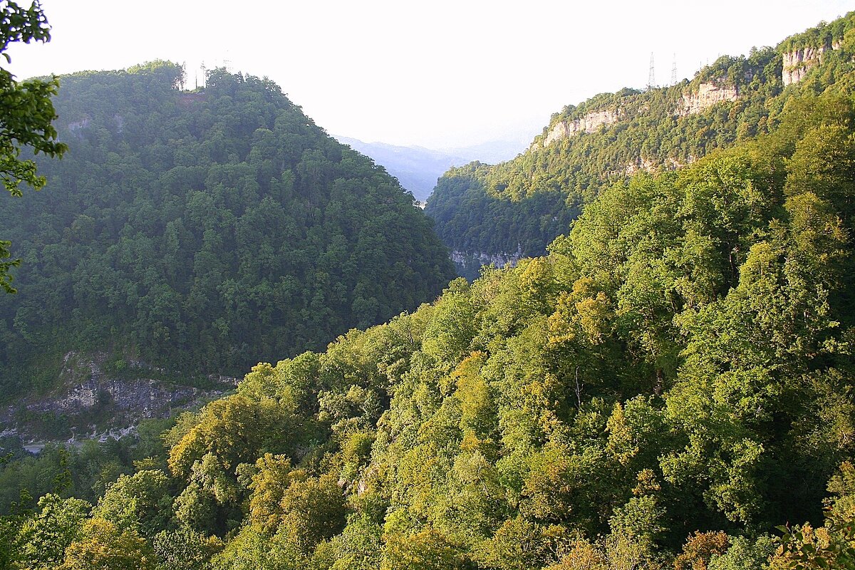 Ахштырское ущелье Сочи - Tata Wolf