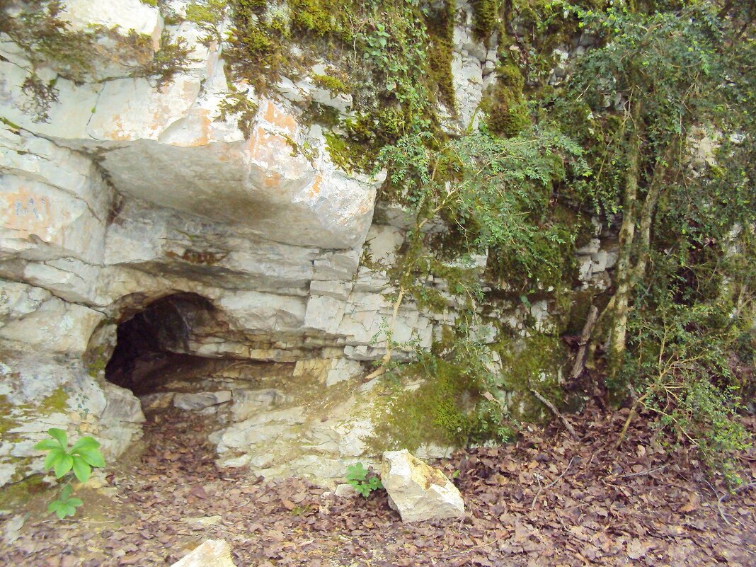 Ахштырское ущелье Сочи - Tata Wolf