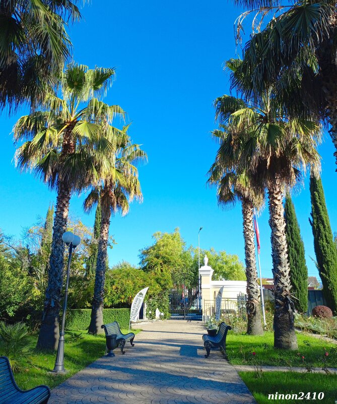 Адлер. Дендропарк "Южные культуры" - Нина Бутко Адлер. Дендропарк "Южные культуры" - Нина Бутко