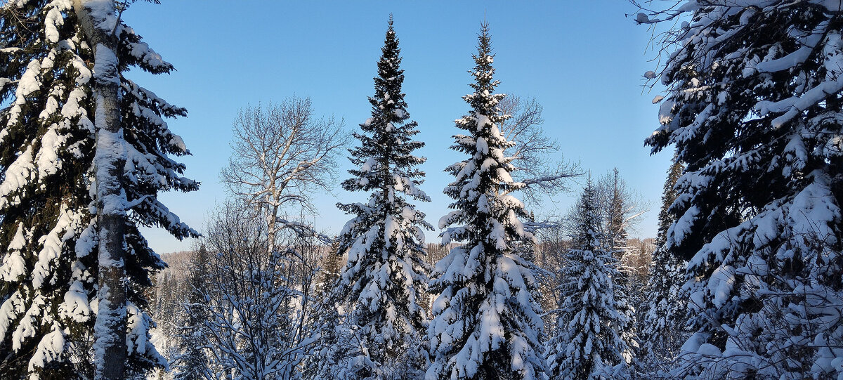 В гостях у сказки!!! - Радмир Арсеньев