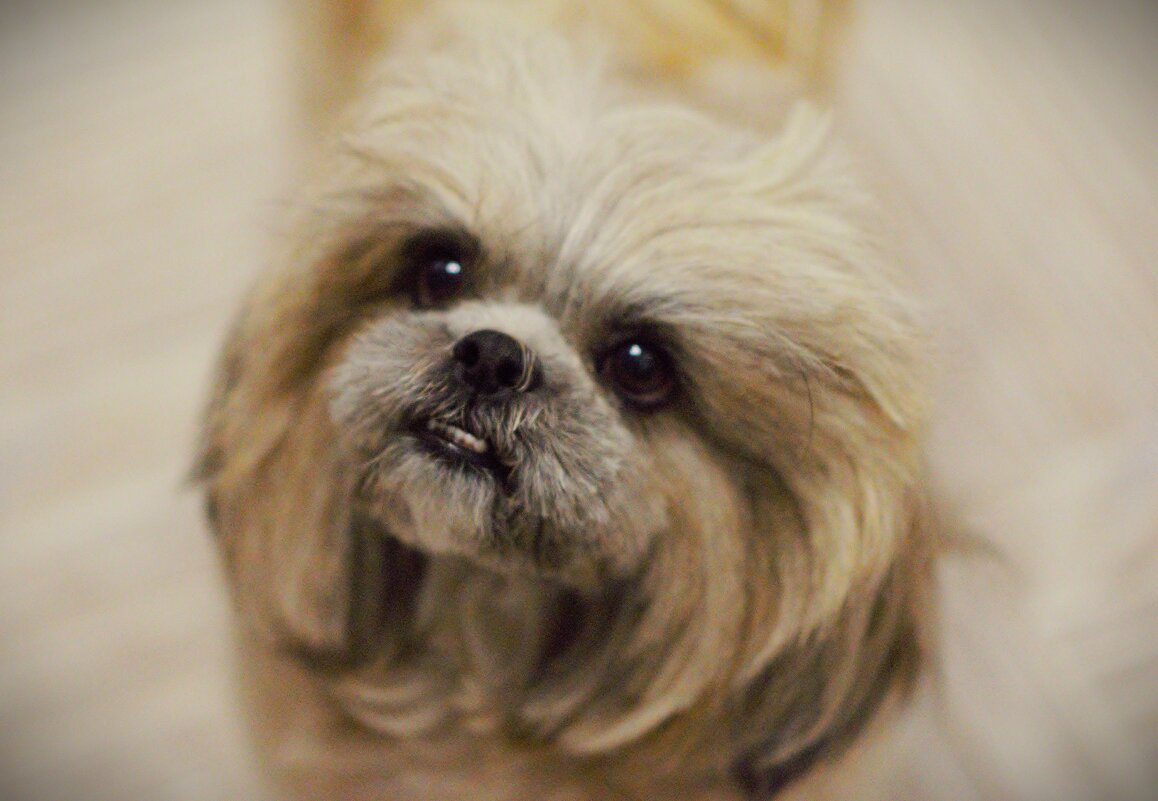 Хозин не болей! - Юрий Полторыхин.