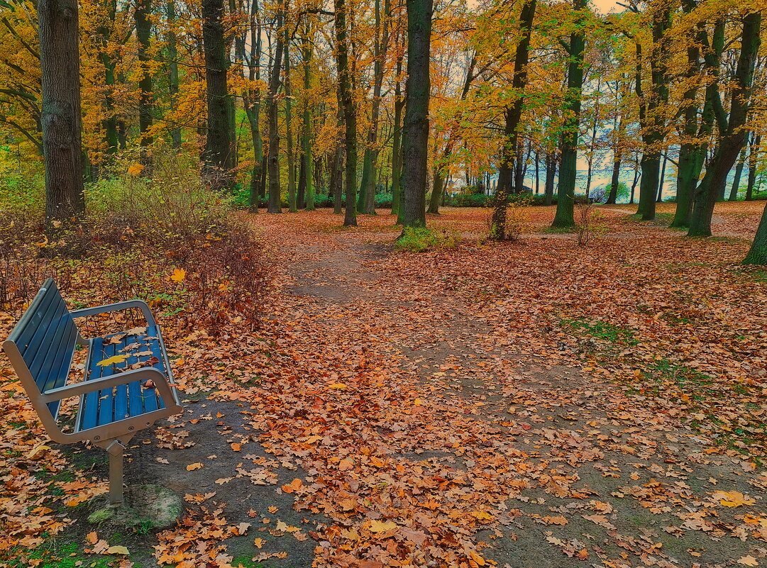И ещё раз о прошедшей осени - Андрей K.