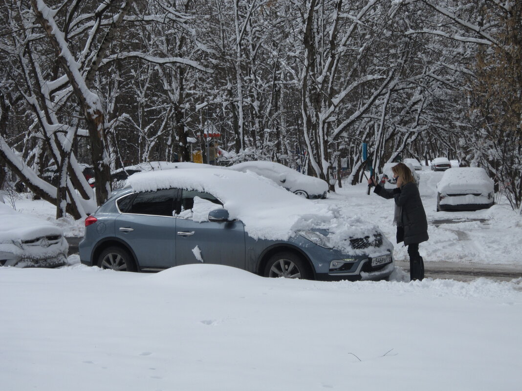 В апреле выпал снег - Дмитрий Никитин