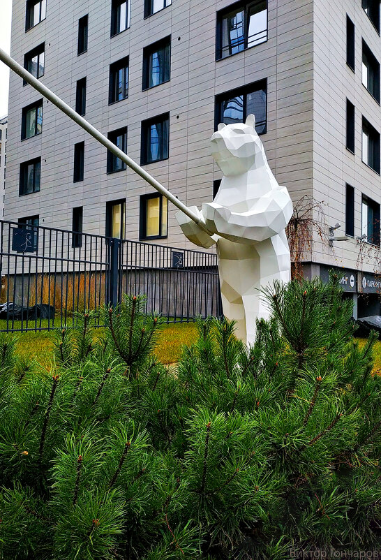 медведь, Санкт Петербург - Laryan1 