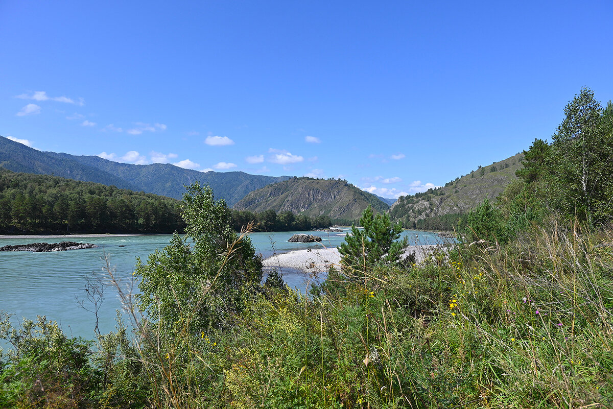 Катунь - Валерий Медведев