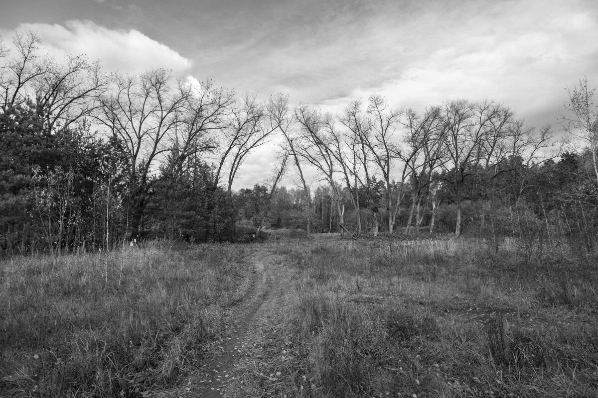 Осенняя пора. - Сергей Татаринов