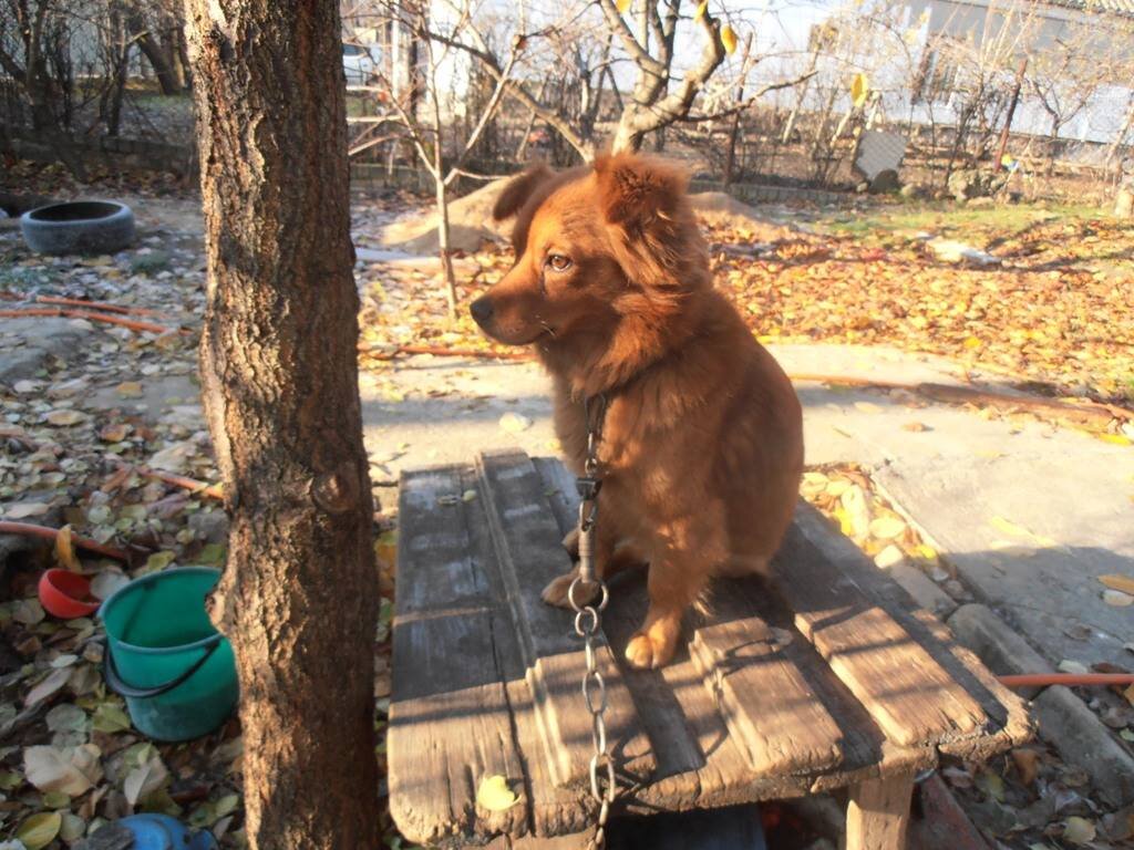 Наблюдательный пункт - Наталья 