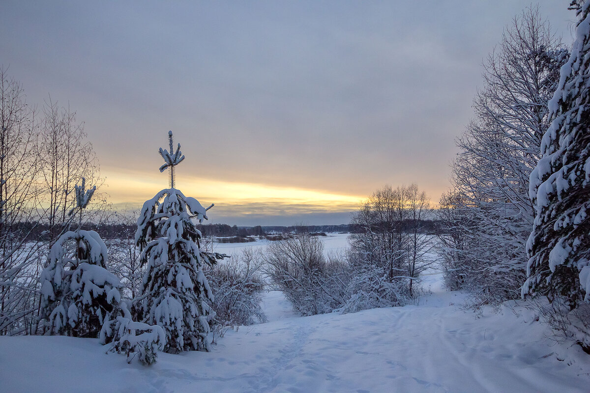 Зимний рассвет. - Андрей Дурапов