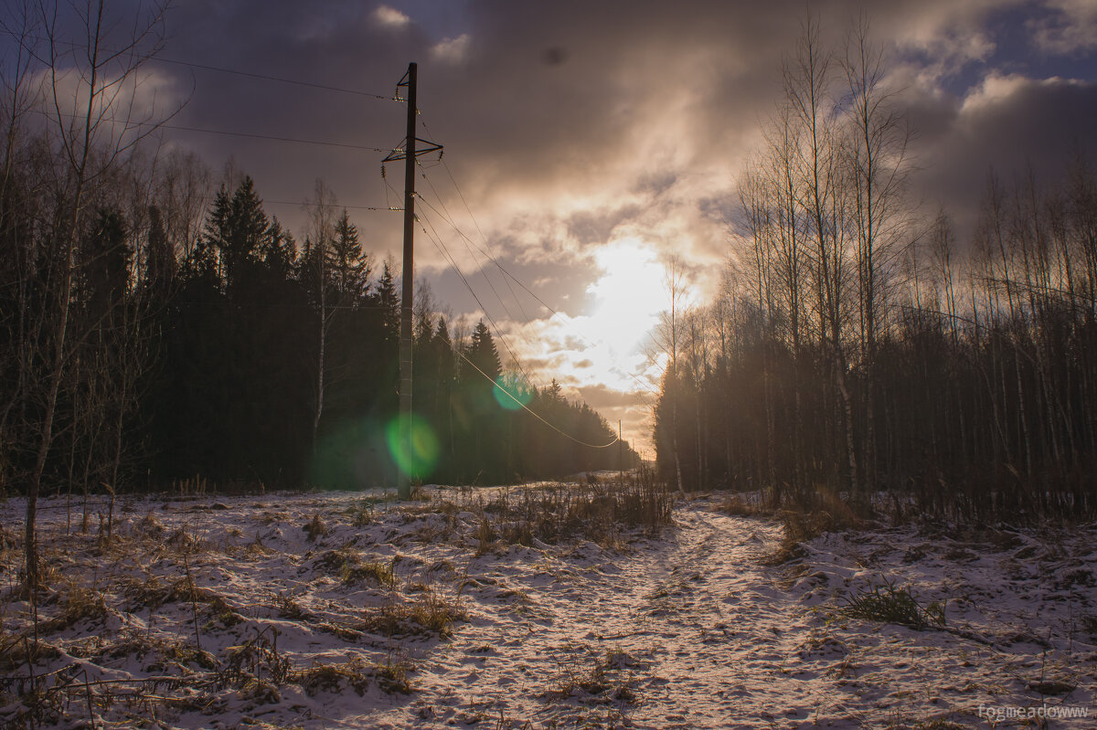 закат - fogmeadowww m