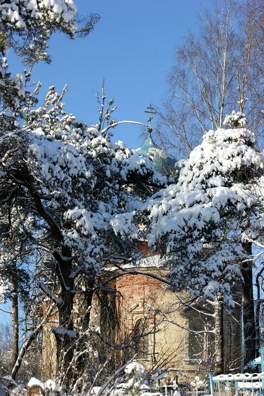 Зимний день - Сергей Кочнев