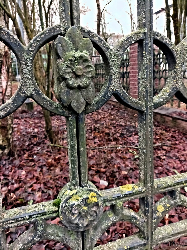 Чугунный узор - Veera V