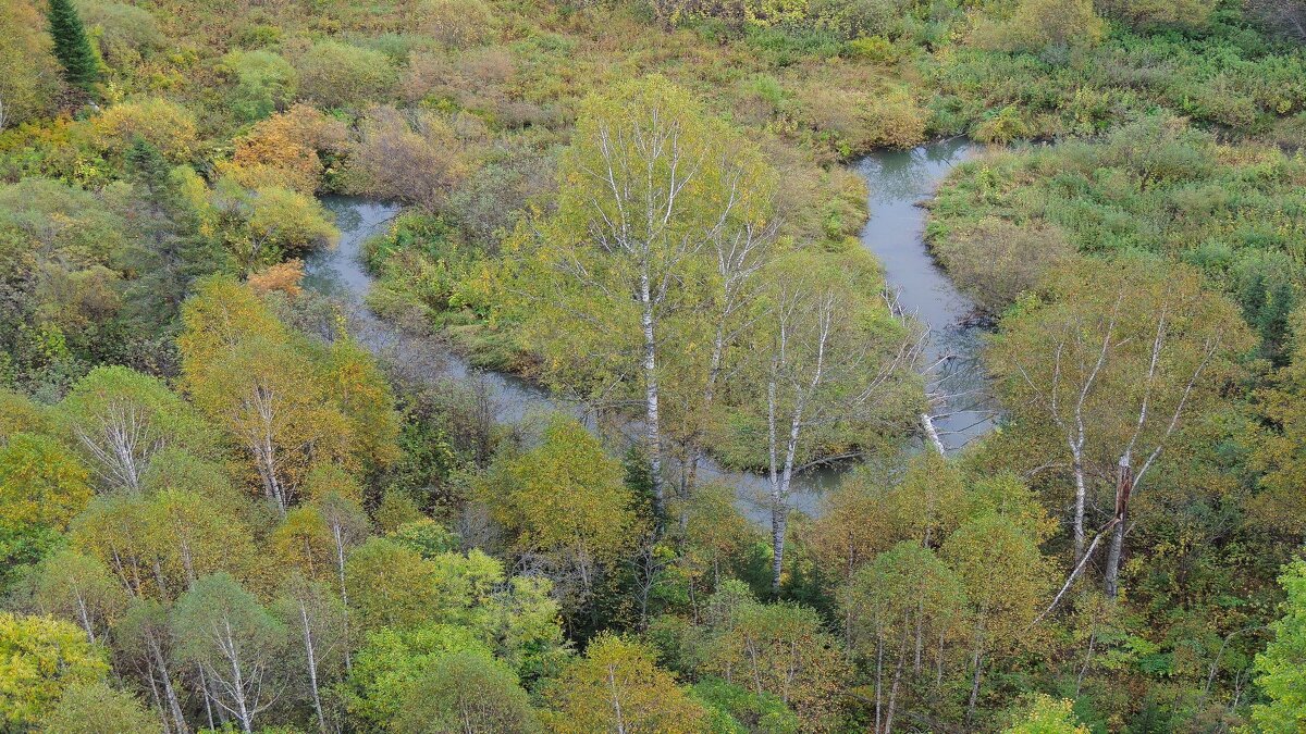 Вид с Бирюлинского моста на речку Бирюля - Владимир Кириченко