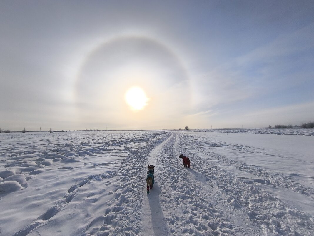 На прогулку - Anna Ivanova