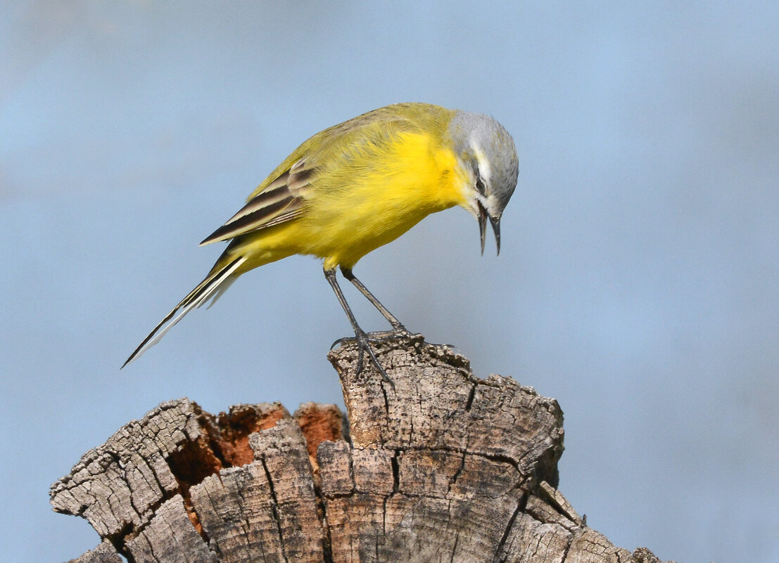 Начало дня - Михаил Белоусов