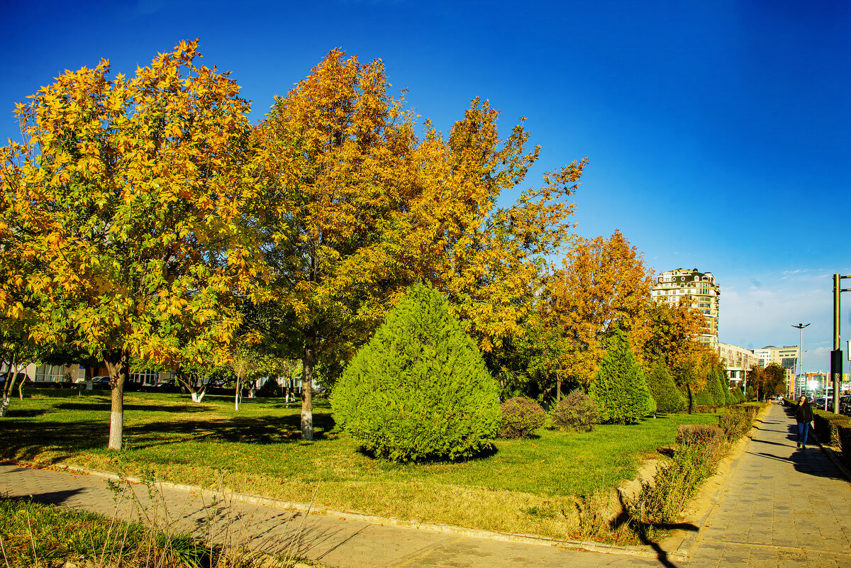 Осень - Анатолий Чикчирный