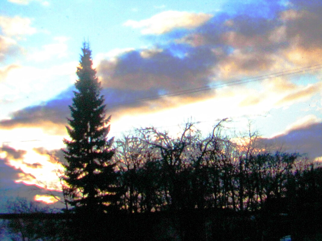 Декабрьский денёк - Людмила Смородинская