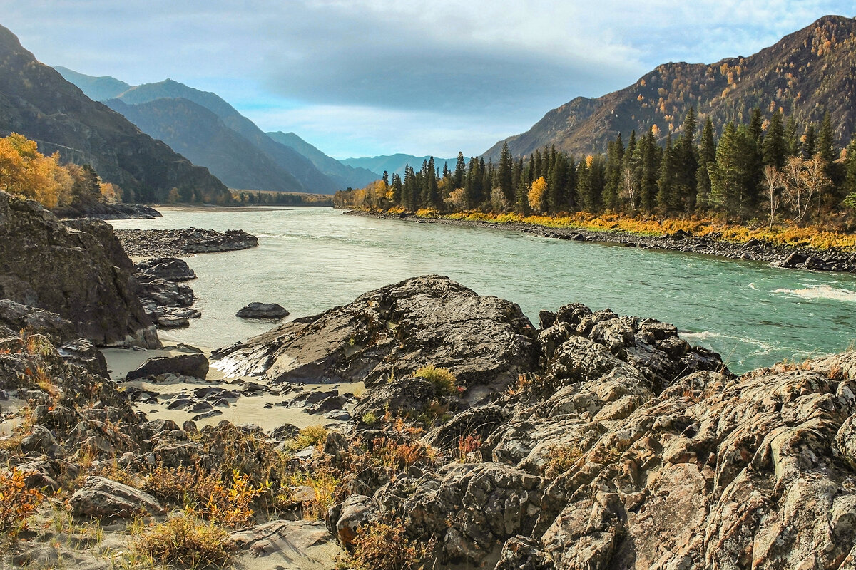 Каменные берега - елена беликова