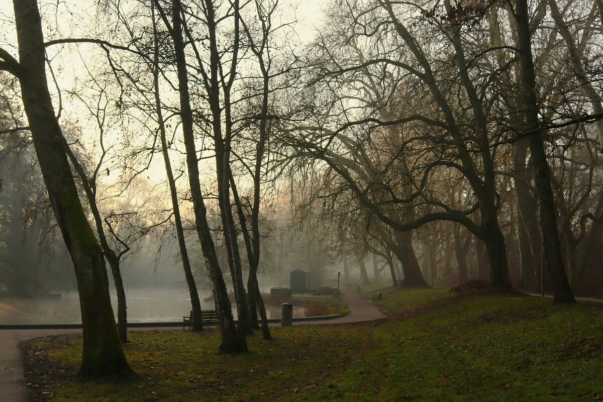 Утро декабря - Юрий. Шмаков