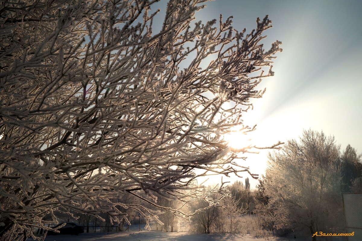 С Днём зимнего солнцестояния! - Андрей Заломленков