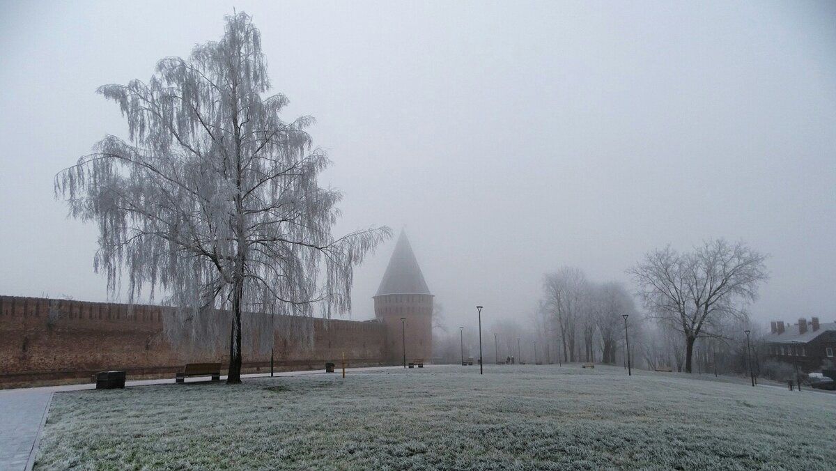 Туманное, декабрьское утро. - Милешкин Владимир Алексеевич 
