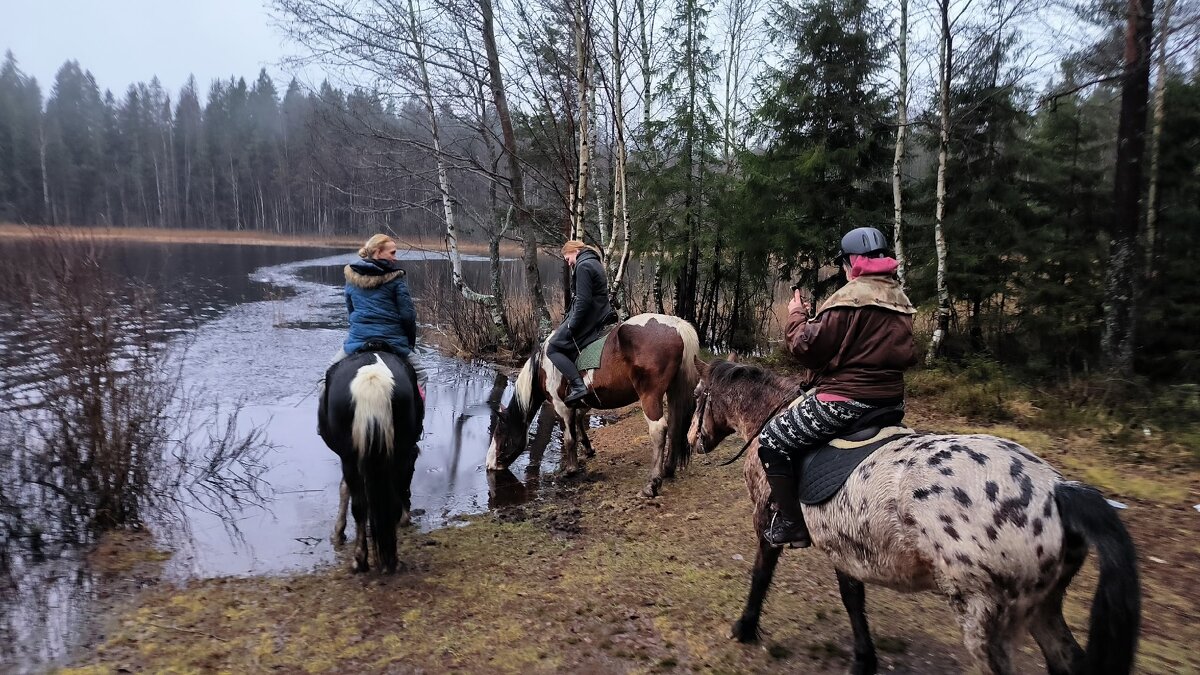 На водопое. - Ольга 