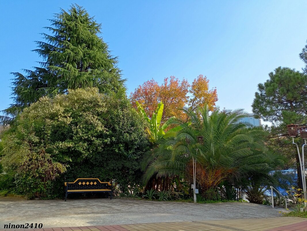 Адлер... ноябрь... - Нина Бутко