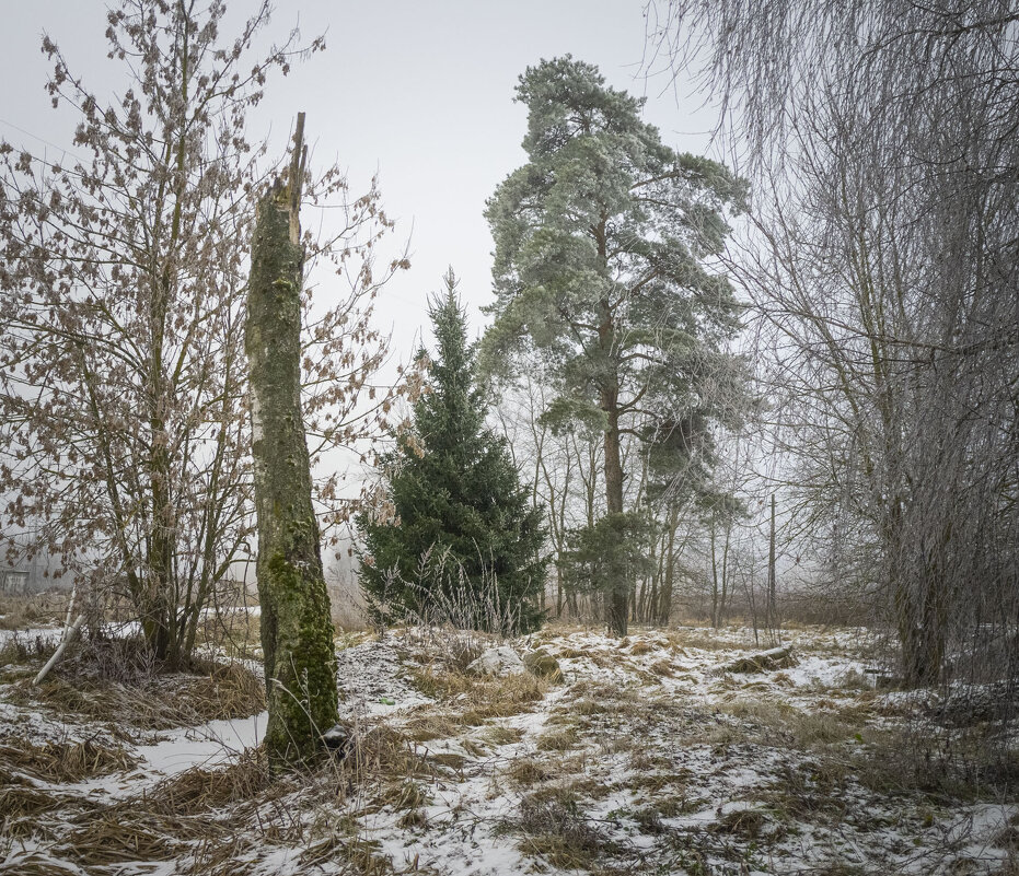 Припорошило - Николай Галкин 