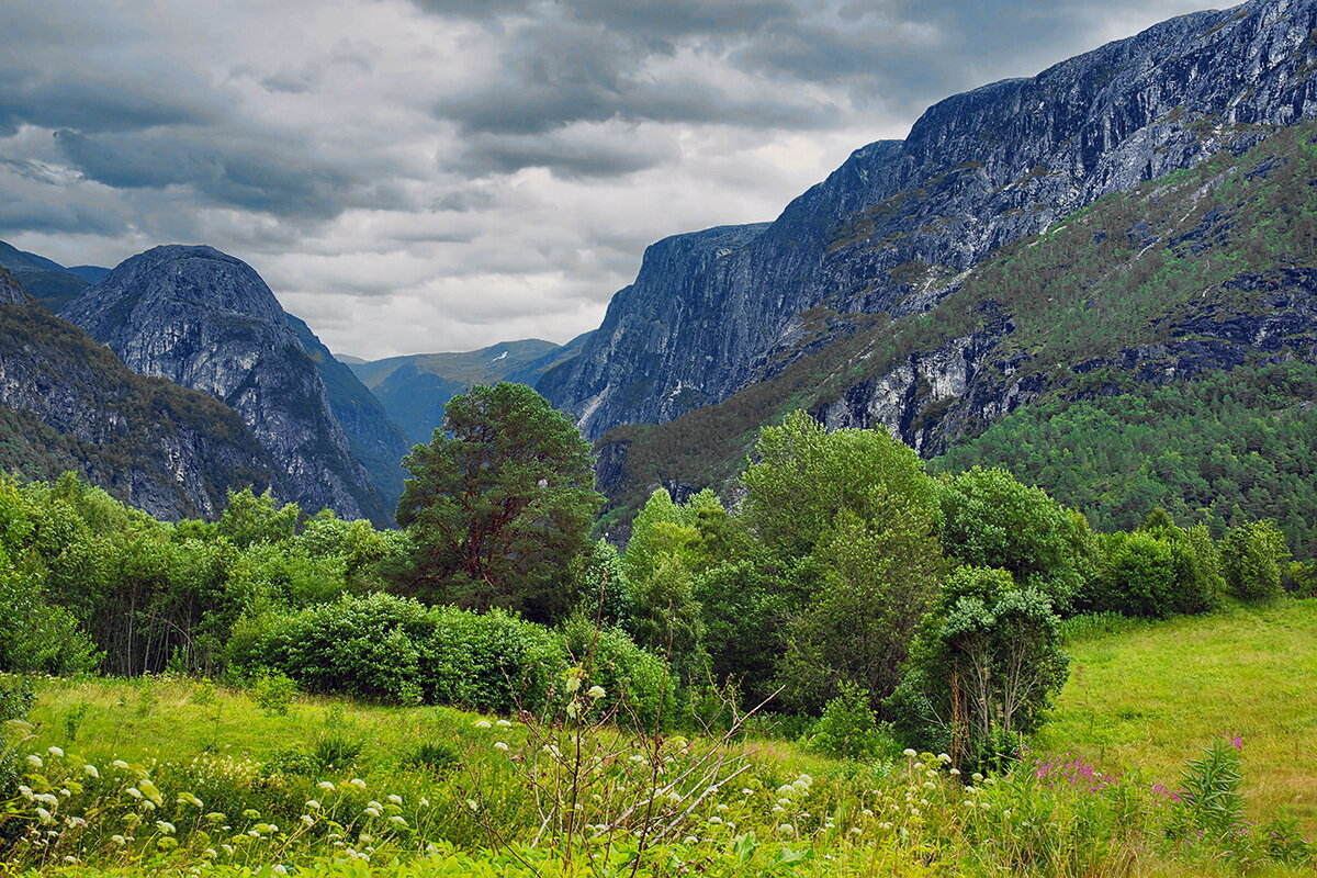 Norway 49 - Arturs Ancans