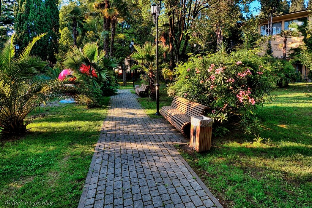 В парке всех влюблённых. Хоста - Mikhail Irtyshskiy