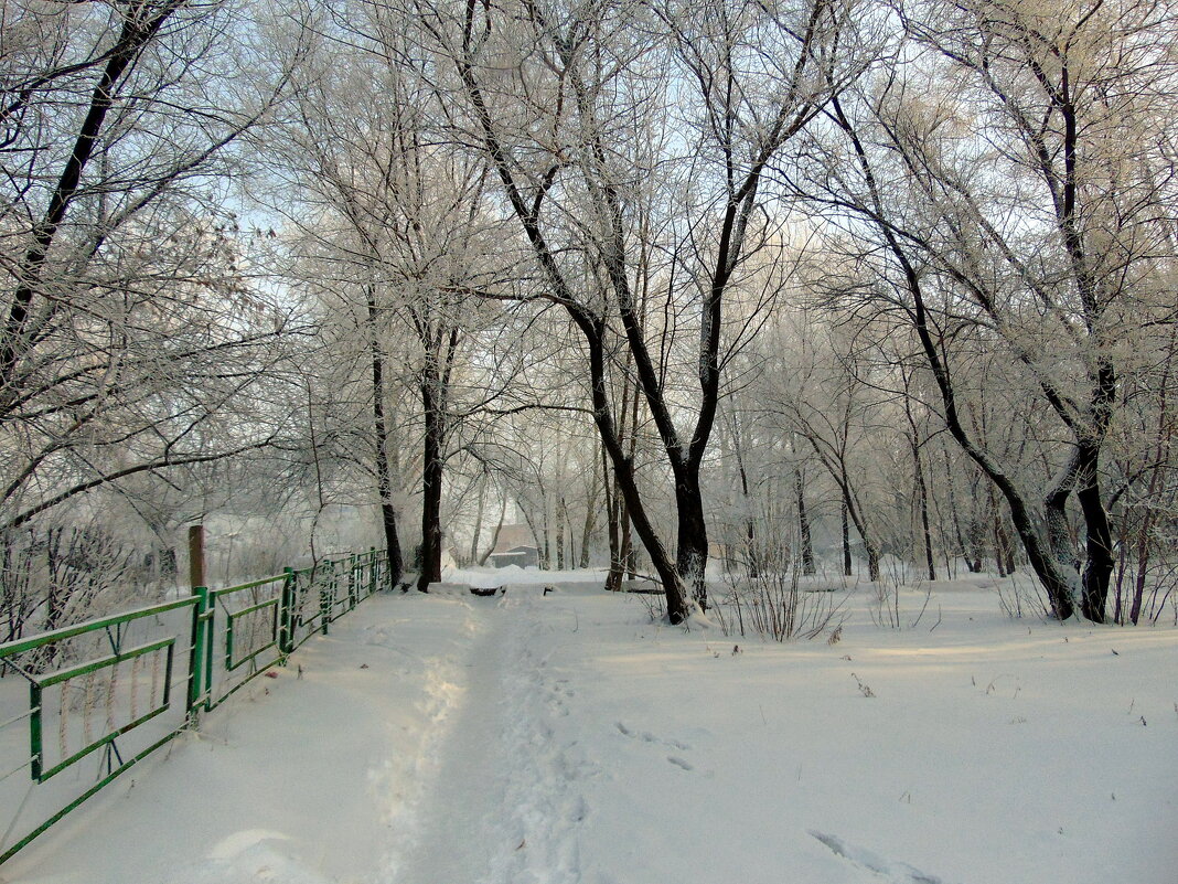 Зимними дорожками. - nadyasilyuk Вознюк