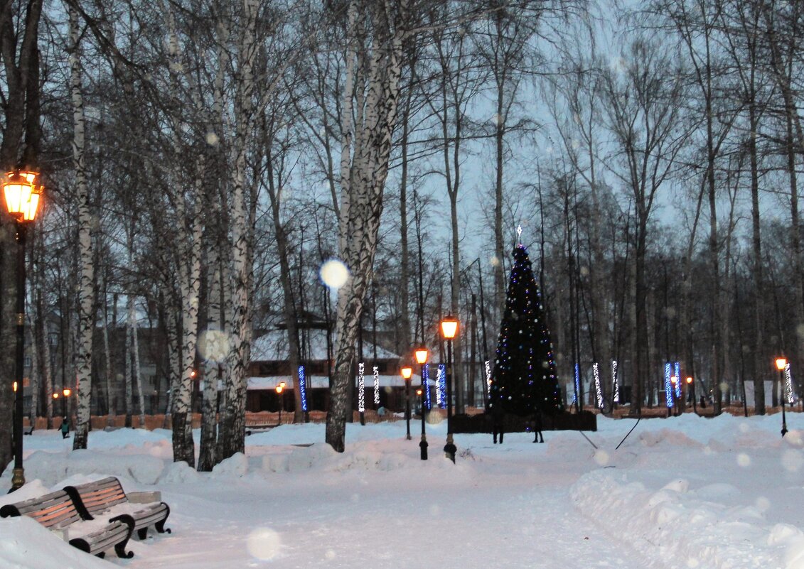 Зима - Венера Чуйкова