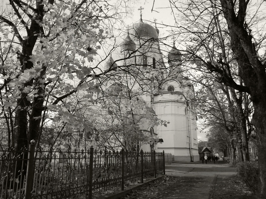 Церкви Северо-Запада - Наталья 