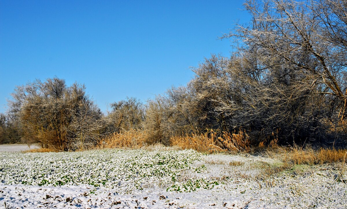 Декабрь. - Владимир 