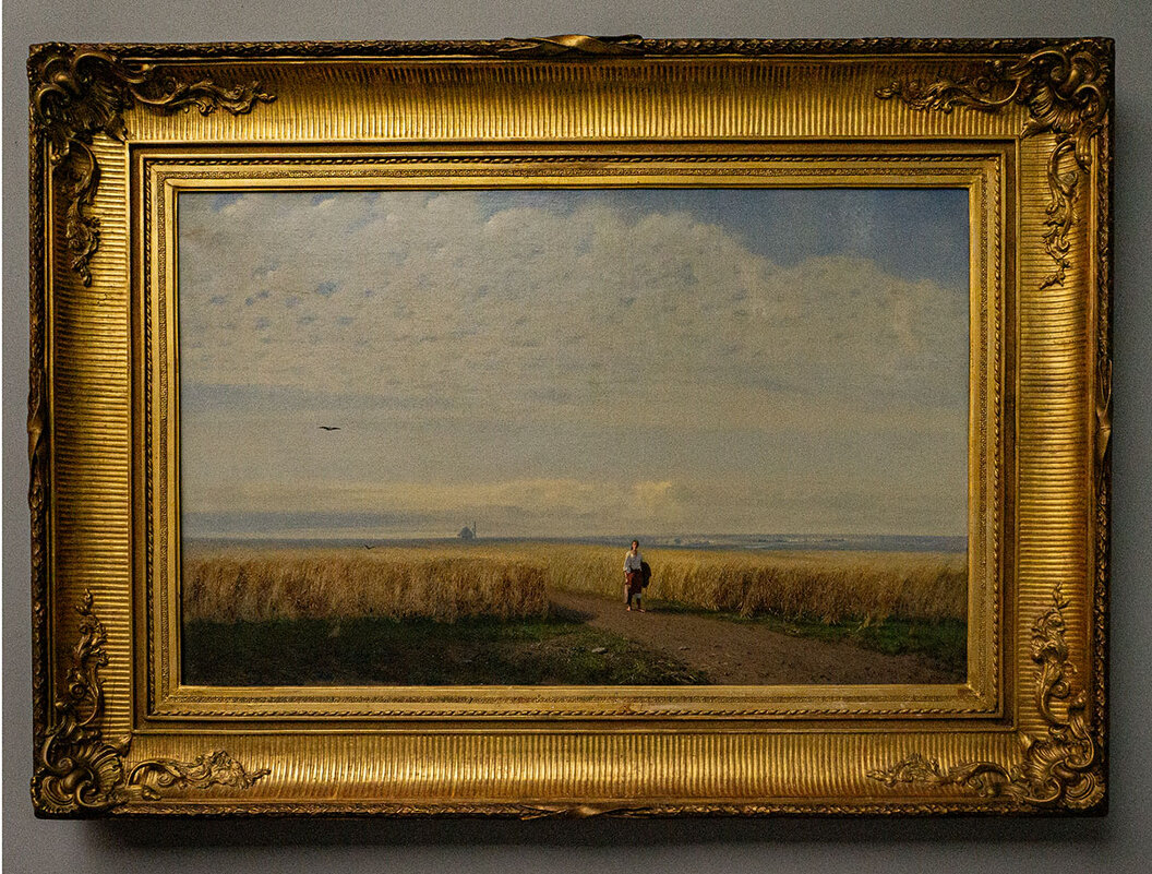 Степь. Нива. - Ирина Соловьёва