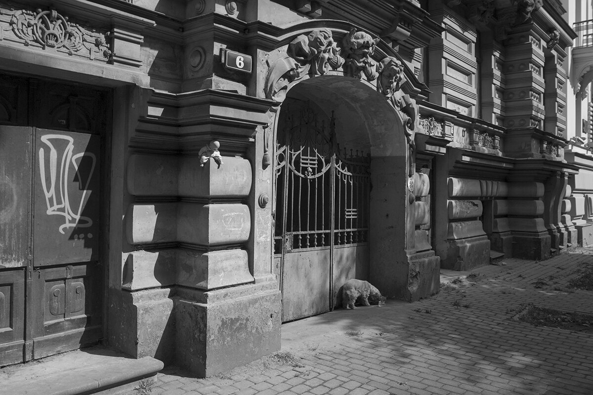 Потерянная кукла №1 - Владимир Носов