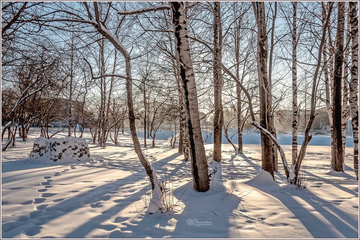 «Мороз и солнце; день чудесный!» - Aquarius - Сергей