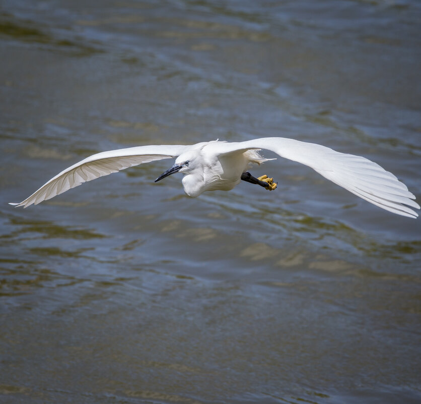 תל אביב - Андрей 