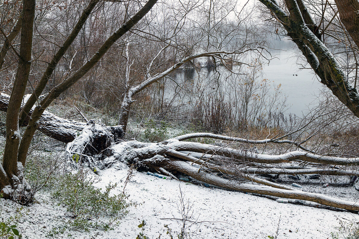 Новы Двур Мазовецки р.Нарев - Светлана Ищенко